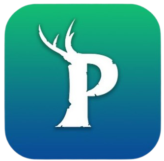Palworld