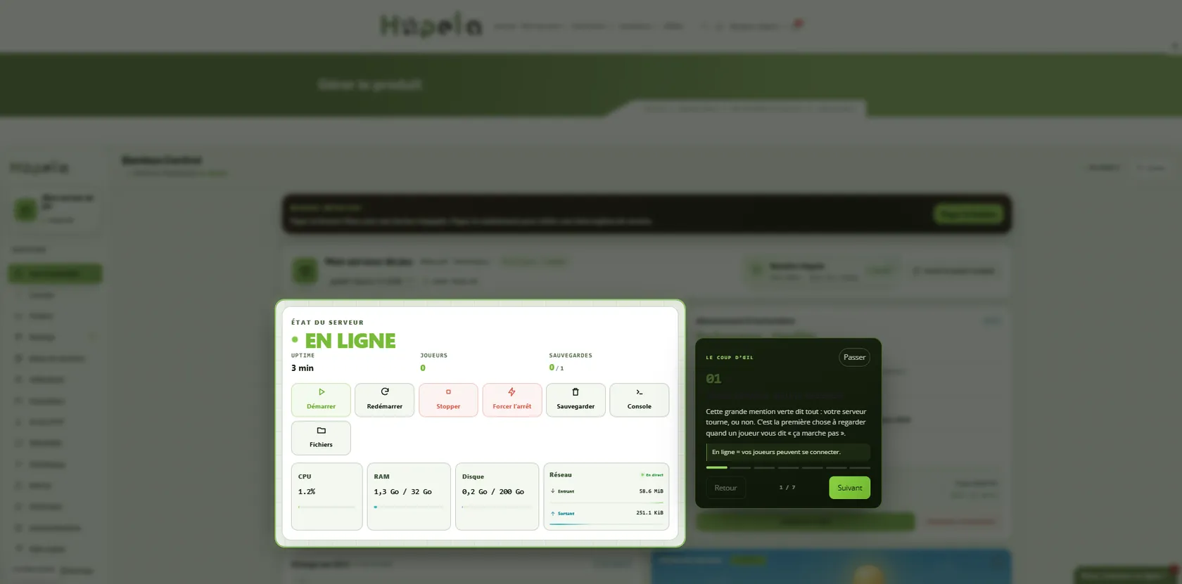 Vue d'ensemble du serveur dans le panel Hopela